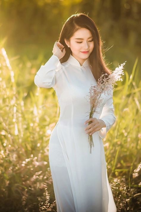 花落时节又逢君在线电视剧免费观看
